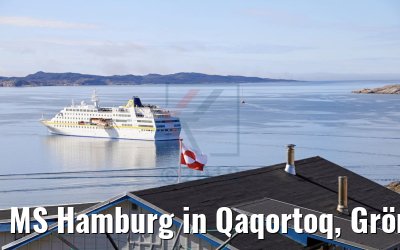 MS Hamburg in Qaqortoq, Grönland