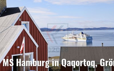 MS Hamburg in Qaqortoq, Grönland