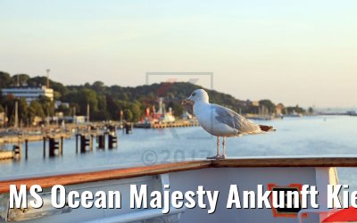 MS Ocean Majesty Ankunft Kiel 29.08.2017