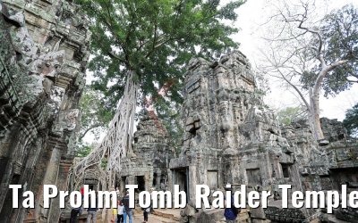 Ta Prohm Tomb Raider Temple at Angkor 18.04.2017