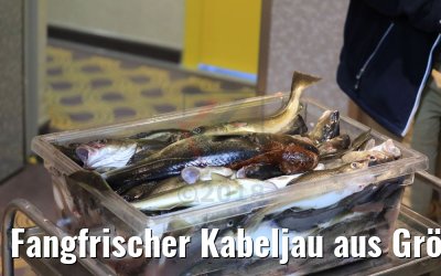 Fangfrischer Kabeljau aus Grönland 10.09.2018 MS Hamburg