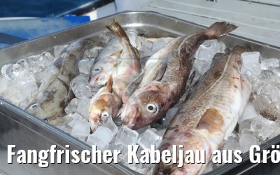 Fangfrischer Kabeljau aus Grönland 10.09.2018 MS Hamburg