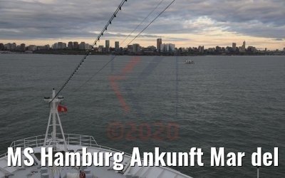 MS Hamburg Ankunft Mar del Plata, Argentinien 14.02.2020