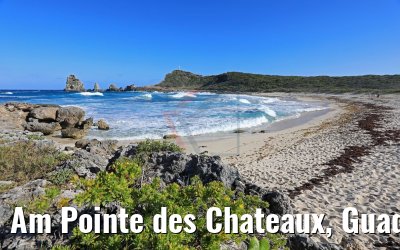 Am Pointe des Chateaux, Guadeloupe 15.02.2018