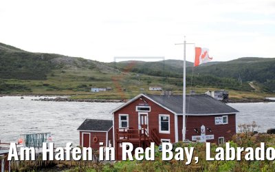 Am Hafen in Red Bay, Labrador