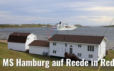 MS Hamburg auf Reede in Red Bay, Labrador