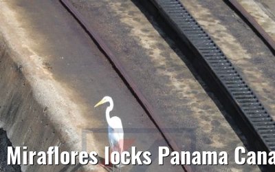 Miraflores locks Panama Canal Balboa 13.02.2019