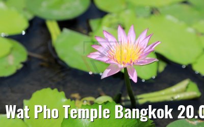 Wat Pho Temple Bangkok 20.04.2017