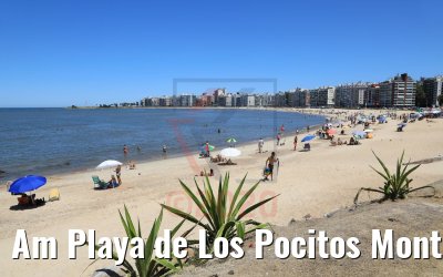 Am Playa de Los Pocitos Montevideo 15.02.2020