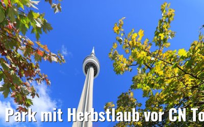 Park mit Herbstlaub vor CN Tower Toronto 14.10.2019