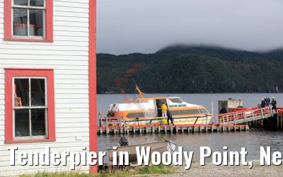 Tenderpier in Woody Point, Newfoundland
