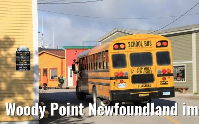 Woody Point Newfoundland impressions