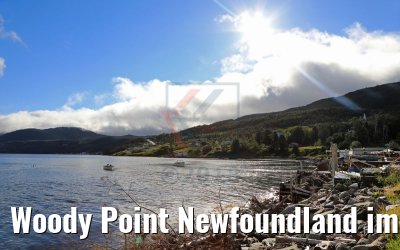 Woody Point Newfoundland impressions