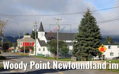 Woody Point Newfoundland impressions