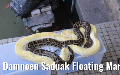 Damnoen Saduak Floating Market Thailand 21.04.2017