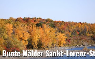 Bunte Wälder Sankt-Lorenz-Strom 15.10.2019