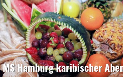 MS Hamburg karibischer Abend 17.02.2018