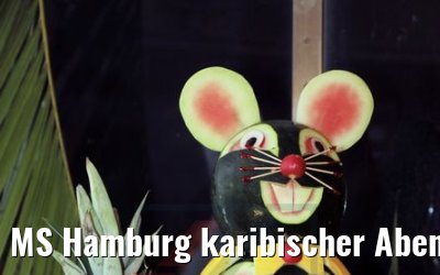 MS Hamburg karibischer Abend 17.02.2018