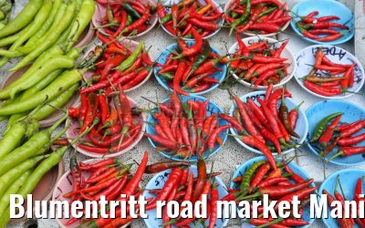 Blumentritt road market Manila 14.02.2016