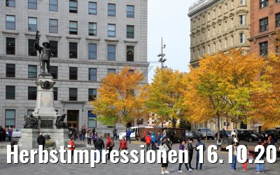 Herbstimpressionen 16.10.2019 Montreal