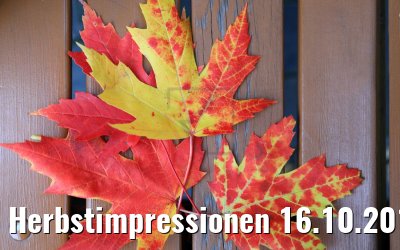 Herbstimpressionen 16.10.2019 Montreal