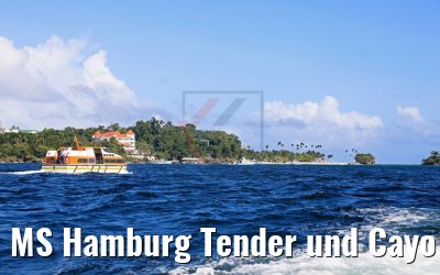 MS Hamburg Tender und Cayo Levantado 18.02.2018