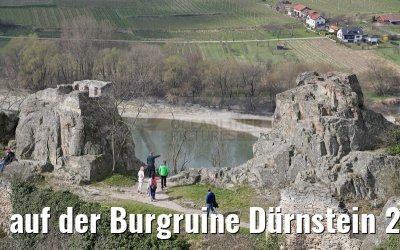 auf der Burgruine Dürnstein 29.03.2015