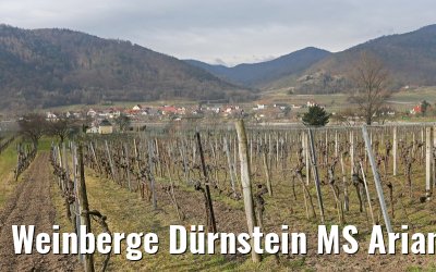 Weinberge Dürnstein MS Ariana 29.03.2015