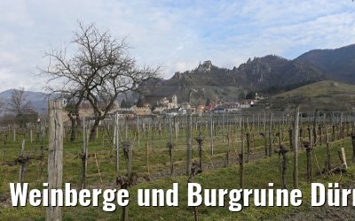 Weinberge und Burgruine Dürnstein 29.03.2015