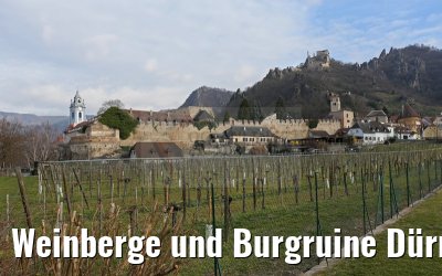 Weinberge und Burgruine Dürnstein 29.03.2015