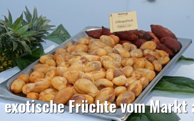 exotische Früchte vom Markt aus Thailand MS Hamburg 28.01.2016