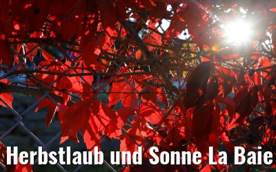 Herbstlaub und Sonne La Baie