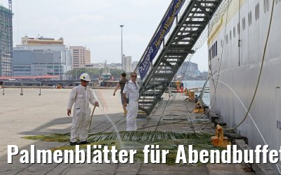 Palmenblätter für Abendbuffet am Pool MS Hamburg