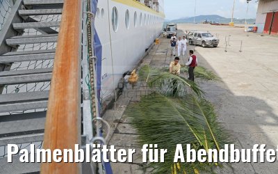 Palmenblätter für Abendbuffet am Pool MS Hamburg