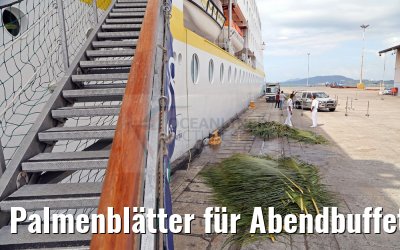 Palmenblätter für Abendbuffet am Pool MS Hamburg