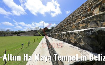 Altun Ha Maya Tempel in Belize 20.02.2019