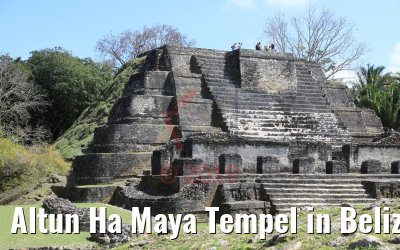 Altun Ha Maya Tempel in Belize 20.02.2019