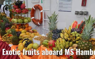 Exotic fruits aboard MS Hamburg 19.02.2016