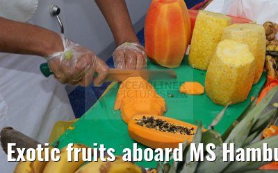 Exotic fruits aboard MS Hamburg 19.02.2016