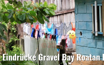 Eindrücke Gravel Bay Roatan Island 21.02.2019