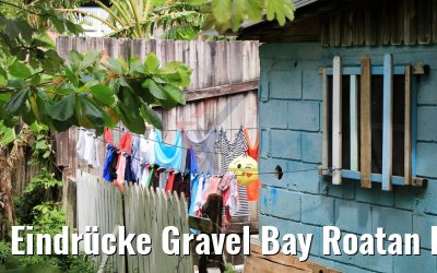 Eindrücke Gravel Bay Roatan Island 21.02.2019