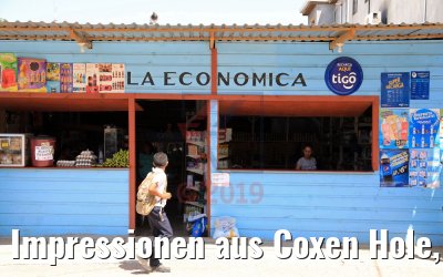 Impressionen aus Coxen Hole, Roatan, Honduras 21.02.2019