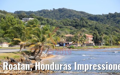 Roatan, Honduras Impressionen 21.02.2019