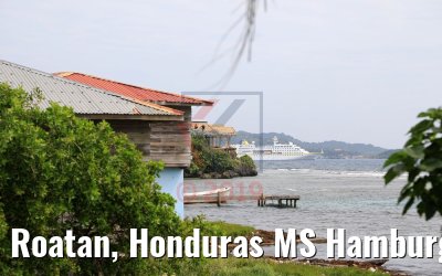 Roatan, Honduras MS Hamburg 21.02.2019