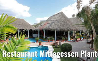 Restaurant Mittagessen Plantours Yucatan 23.02.2019