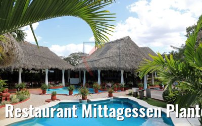 Restaurant Mittagessen Plantours Yucatan 23.02.2019