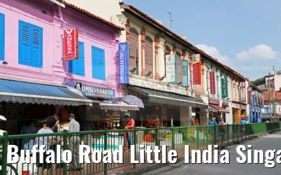 Buffalo Road Little India Singapore 22.02.2016