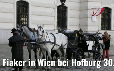 Fiaker in Wien bei Hofburg 30.03.2015