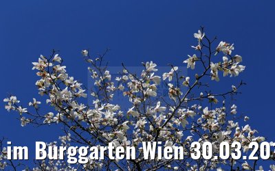 im Burggarten Wien 30.03.2015