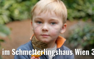 im Schmetterlingshaus Wien 30.03.2015